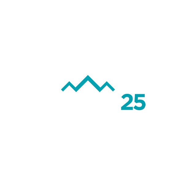 logo Deva 25