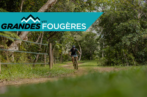 logo grandes fougères